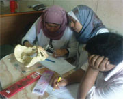 feb2012_egypt