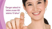 feb2012_indonesiafinancing