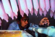 Since 1991, CSM programs have sold over 33.9 billion condoms. Laid out, that’s enough condoms to span earth 44 times!